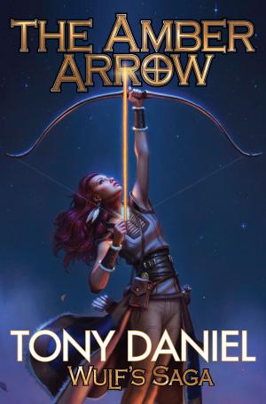 Cover of the book The Amber Arrow by Cornell DeVille