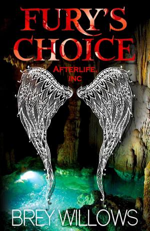 Cover of the book Fury's Choice by Anna Larner