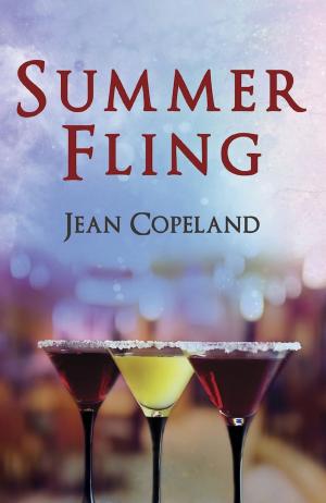 Cover of the book Summer Fling by Lesley Davis