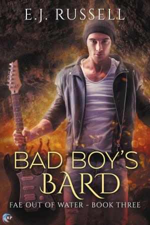 Cover of the book Bad Boy's Bard by SE Jakes
