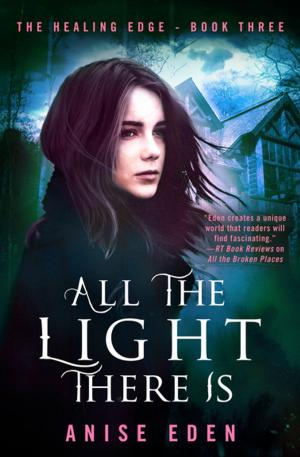 Cover of the book All the Light There Is by Christine Michels