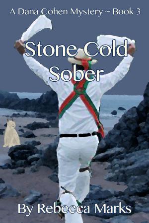 Book cover of Stone Cold Sober