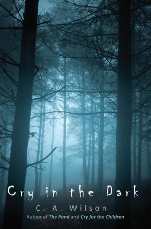 Cover of the book Cry in the Dark by EsthersChild