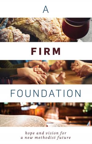 Cover of the book A Firm Foundation: Hope and Vision for a New Methodist Future by Mark Benjamin, John David Walt