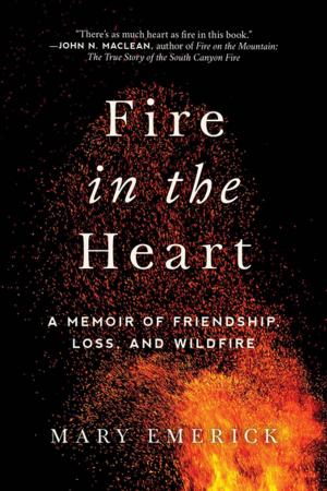 Cover of the book Fire in the Heart by J. B. Walker