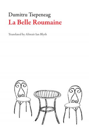 Cover of the book La Belle Roumaine by Manuel Pérez Subirana