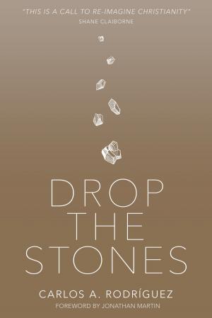 Cover of the book Drop the Stones by Ed Young, Lisa Young