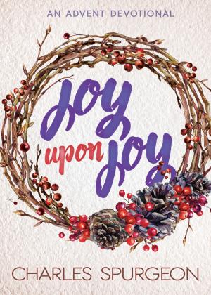 Cover of the book Joy Upon Joy by Andrew Murray