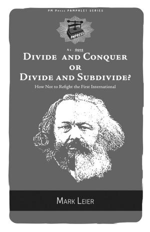 Cover of the book Divide And Conquer Or Divide And Subdivide? by Ursula K. Le Guin