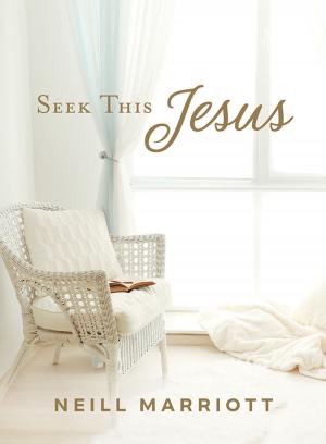 Book cover of Seek This Jesus