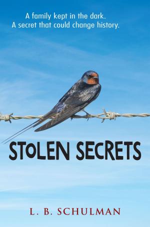 Cover of the book Stolen Secrets by Sara Holbrook
