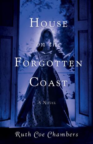 Cover of the book House on the Forgotten Coast by John Angus