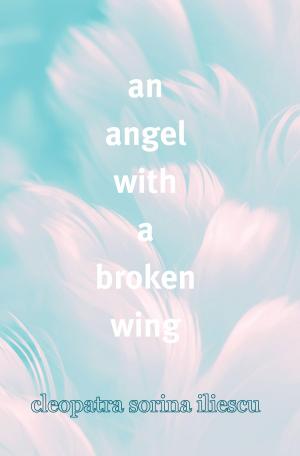 Cover of An Angel With A Broken Wing