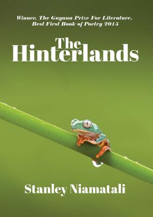 Cover of the book The Hinterlands by Neeti Tibrewala