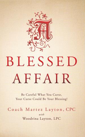 bigCover of the book A Blessed Affair by 