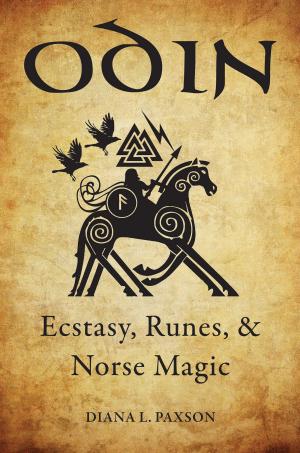 Cover of the book Odin by M. J. Ryan