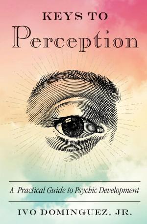 Cover of the book Keys to Perception by Brandon Massullo