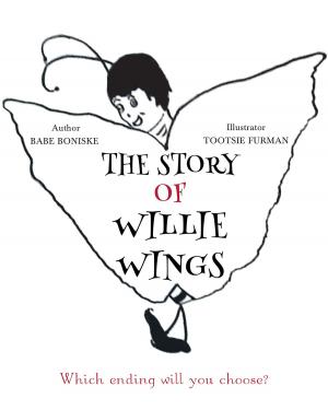 Cover of the book The Story of Willie Wings by Jill Johnson y Paloheimo