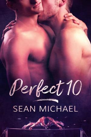 Cover of the book Perfect 10 by Jillian Ward