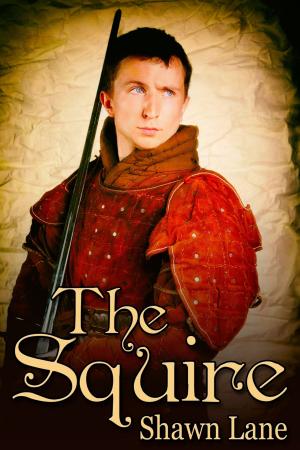Cover of the book The Squire by Dean Frech