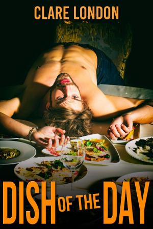 Cover of the book Dish of the Day by Hilary Walker