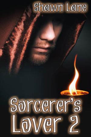Book cover of Sorcerer's Lover 2