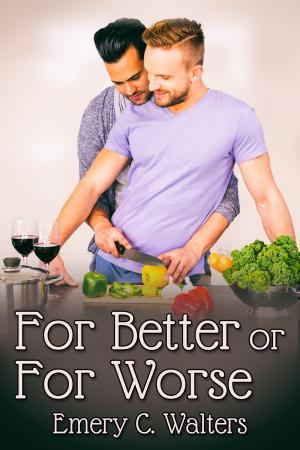 bigCover of the book For Better or For Worse by 