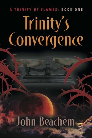 Cover of the book TRINITY'S CONVERGENCE by Maria Pease