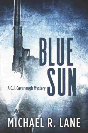 Cover of the book BLUE SUN by Charles Read Major USAF Ret.
