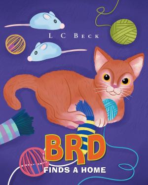 Cover of the book BRD Finds a Home by Laurie Grosse