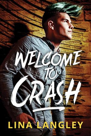 Cover of the book Welcome to Crash by Cyndia Rios-Myers