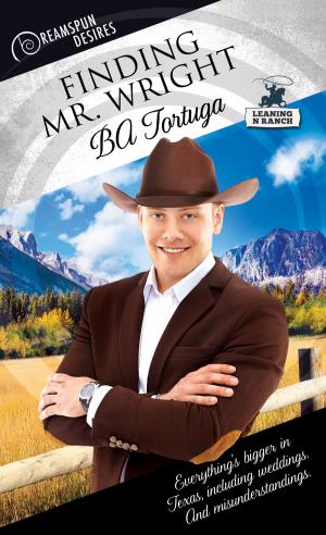 Cover of the book Finding Mr. Wright by Amy Lane