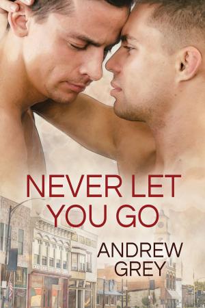 Cover of the book Never Let You Go by Erika Rhys