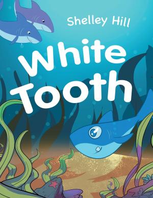 Cover of the book White Tooth by Marcia Fineman Ph.D. (dec. 2007)
