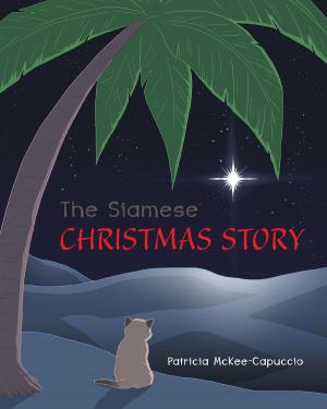 Cover of the book The Siamese Christmas Story by John Heru Aan Allsop