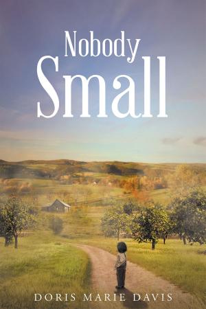 Cover of the book Nobody Small by Avelea Nixon