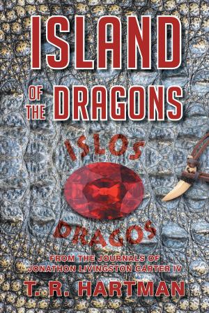 Cover of the book Island of the Dragons by Liz Helms