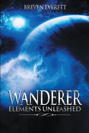 Cover of the book Wanderer - Elements Unleashed by D.P. Allen