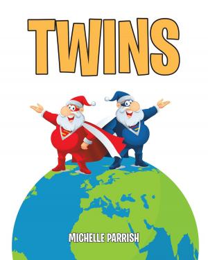 Cover of the book Twins by Andrew Gould
