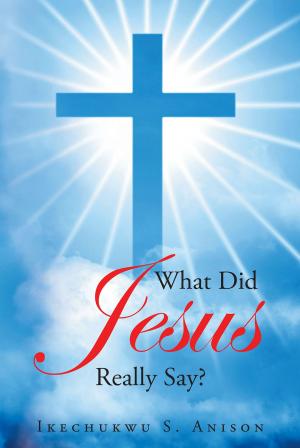 Cover of the book What Did Jesus Really Say? by Lonnie M. E. Dunn