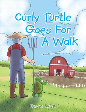 Book cover of Curly Turtle Goes for a Walk