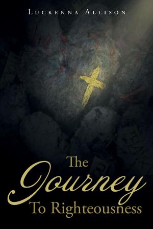 Cover of the book The Journey To Righteousness by Pamela Davis Pouliot