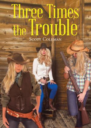 Cover of the book Three Times the Trouble by Michael R. Herndon