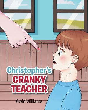 Cover of the book Christopher's Cranky Teacher by Ari Barzanji
