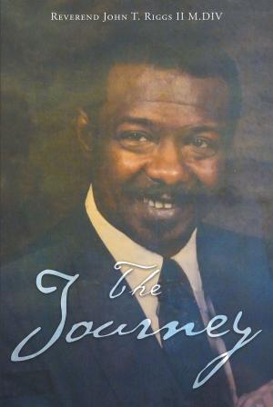 Cover of the book The Journey by Dewey Plaster