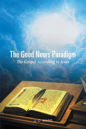 Cover of the book The Good News Paradigm by Steve Feazel, Dr. Carol M. Swain