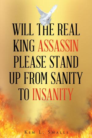Book cover of Will The Real King Assassin Please Stand Up From Sanity to Insanity