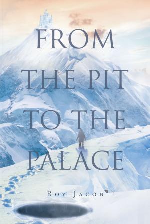 Cover of the book From The Pit To The Palace by Daisy Crockett