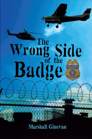 Cover of the book The Wrong Side of the Badge by R. Warren Taurien
