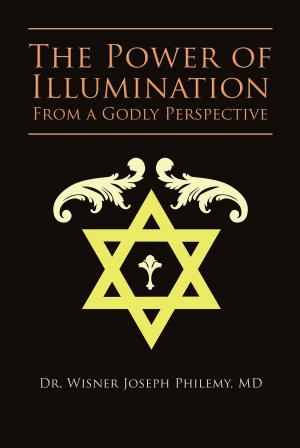 Cover of the book The Power of Illumination From a Godly Perspective by Margaret Nutting-Ralph